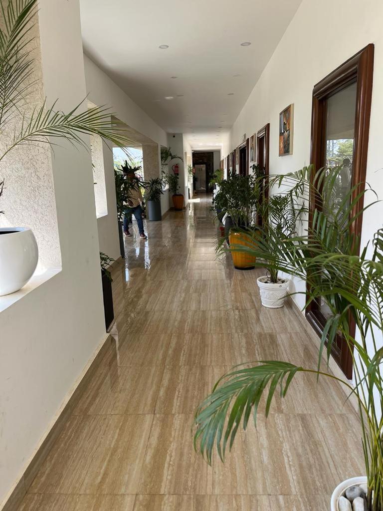 Hotel Eco Park Rewa
