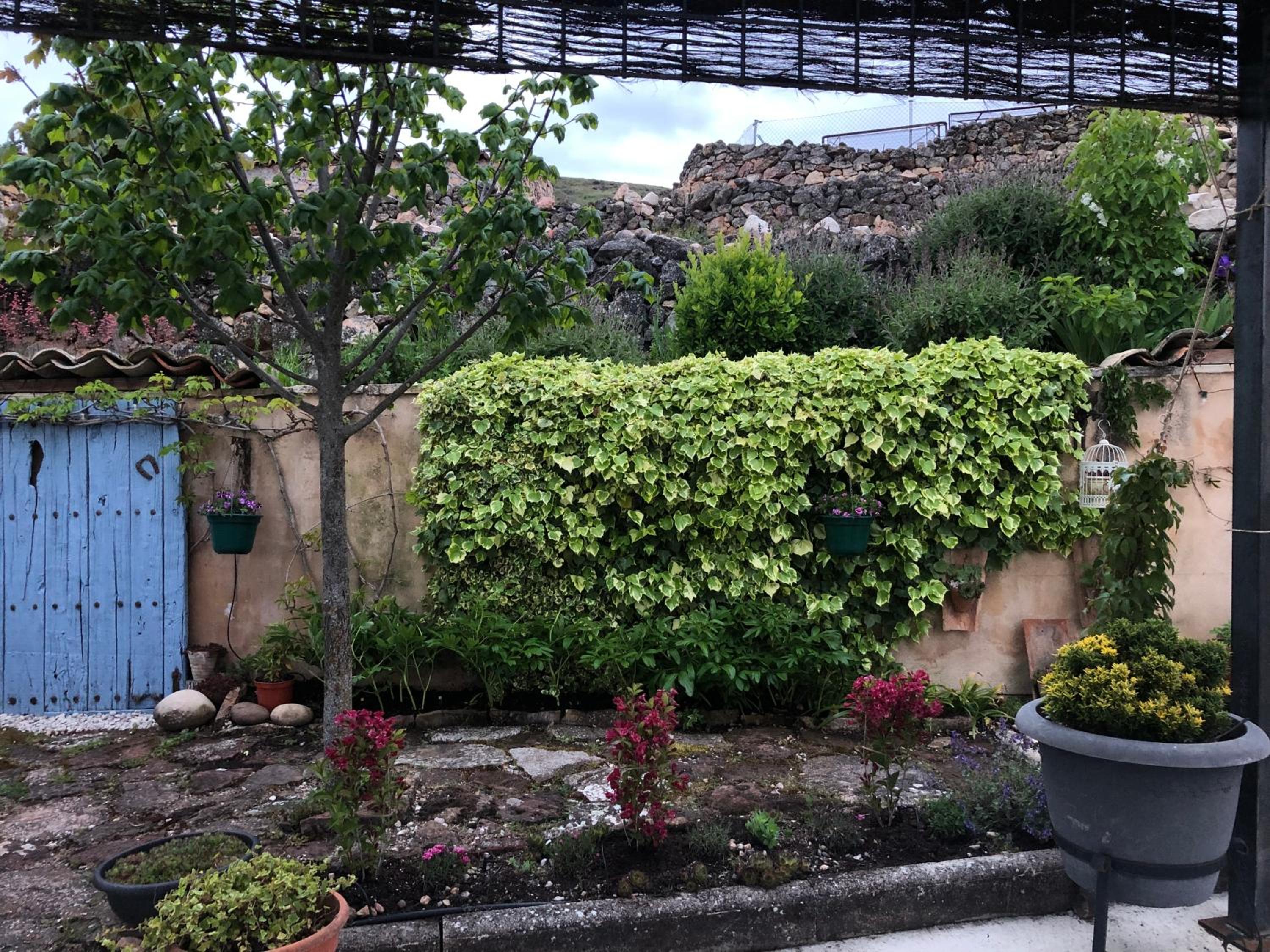 Photo 25