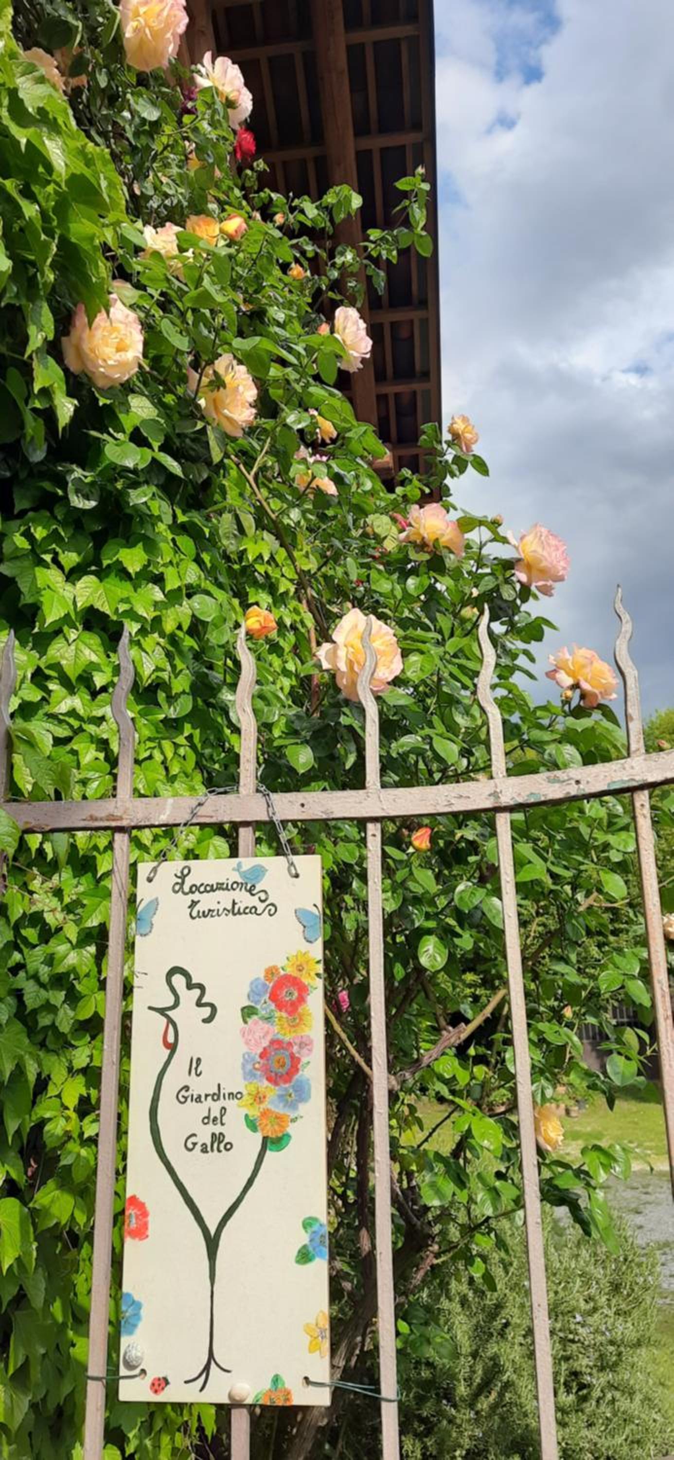 Photo 42