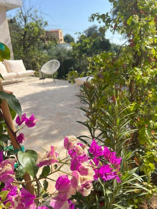 BugenVilla - South Corfu house - Property Image 35