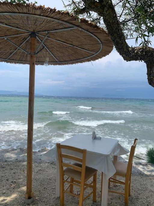 BugenVilla - South Corfu house - Property Image 20