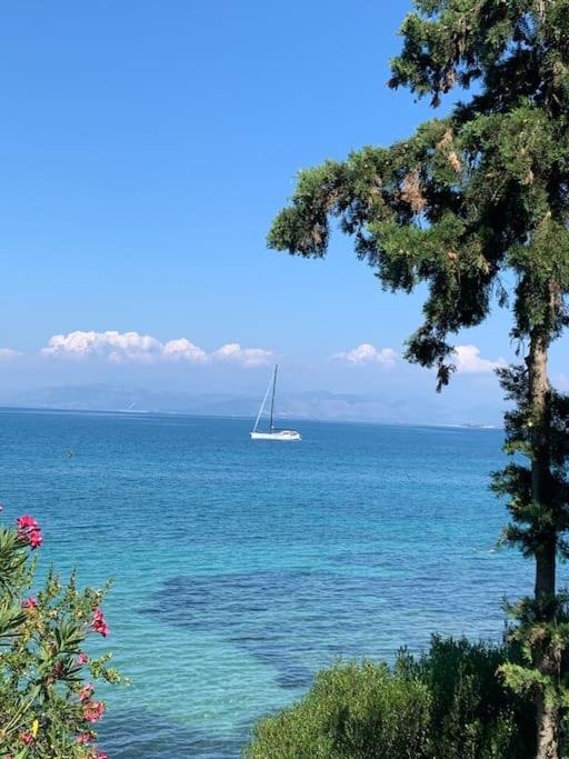 BugenVilla - South Corfu house - Property Image 3