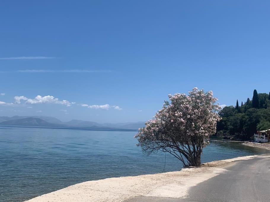 BugenVilla - South Corfu house - Property Image 2