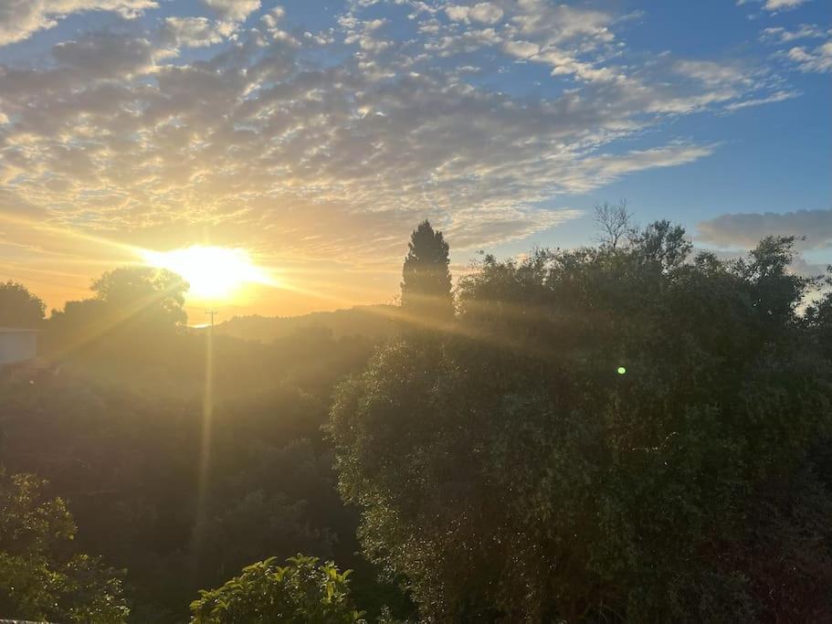 BugenVilla - South Corfu house - Property Image 7