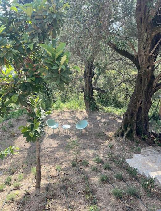 BugenVilla - South Corfu house - Property Image 41