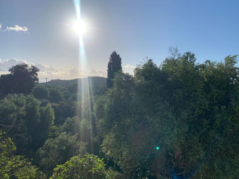 BugenVilla - South Corfu house - Property Image 30