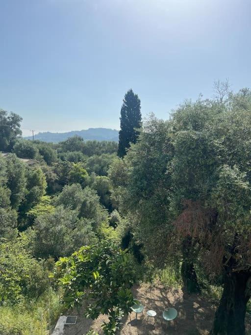 BugenVilla - South Corfu house - Property Image 28