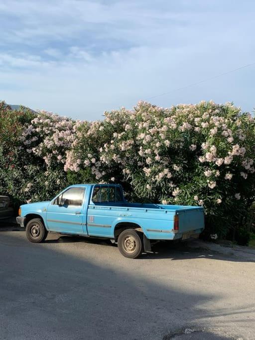 BugenVilla - South Corfu house - Property Image 26