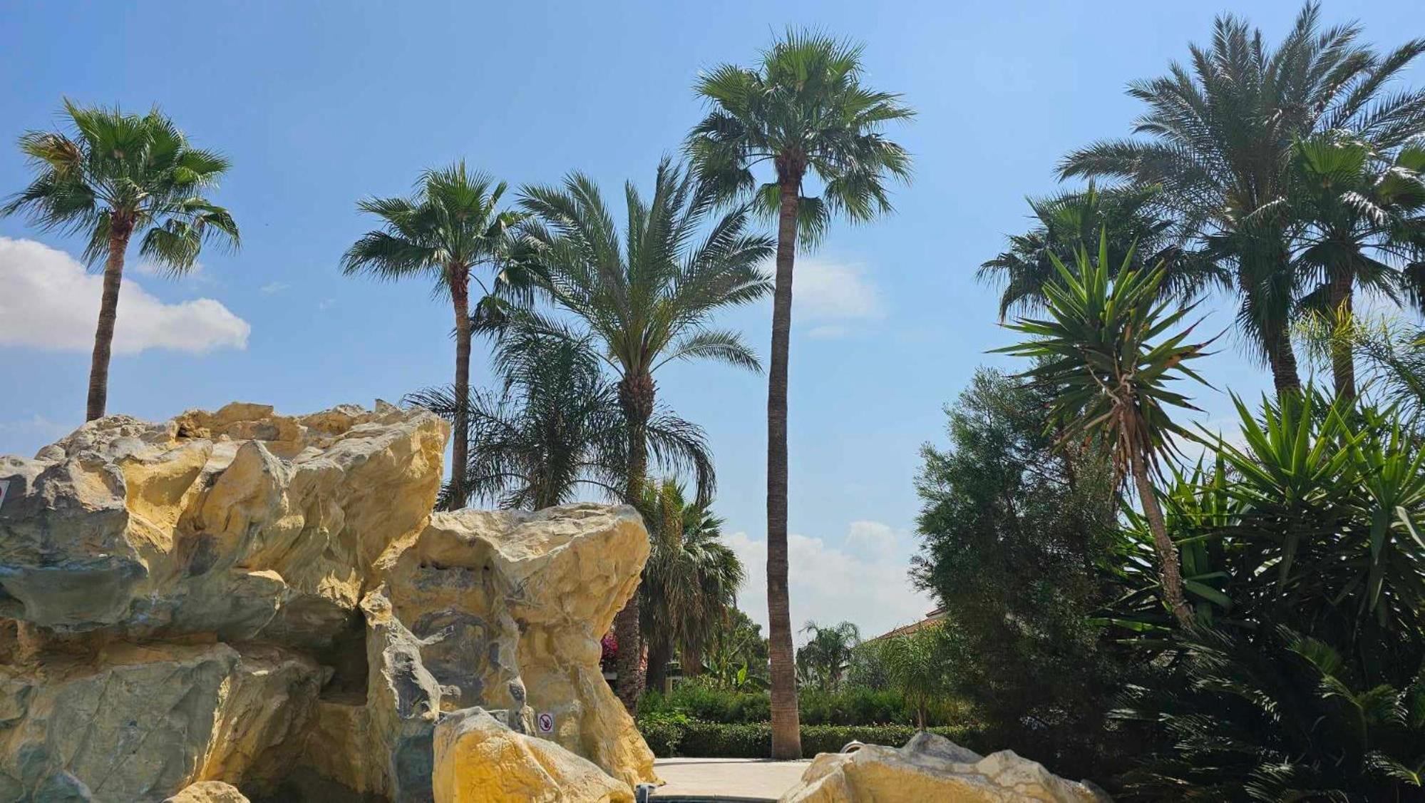 Mediterranean Sunrise Apartments A1