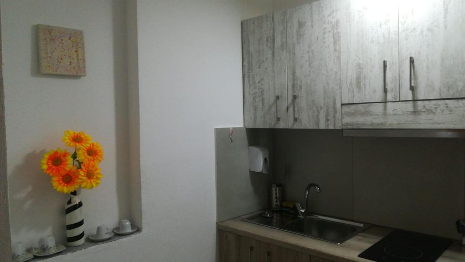 Dinamo EVOO apartments