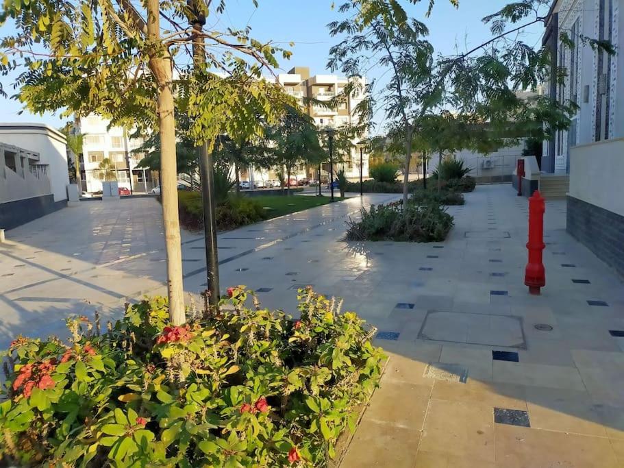 Eco Flat in Madinaty