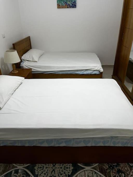 Eco Flat in Madinaty