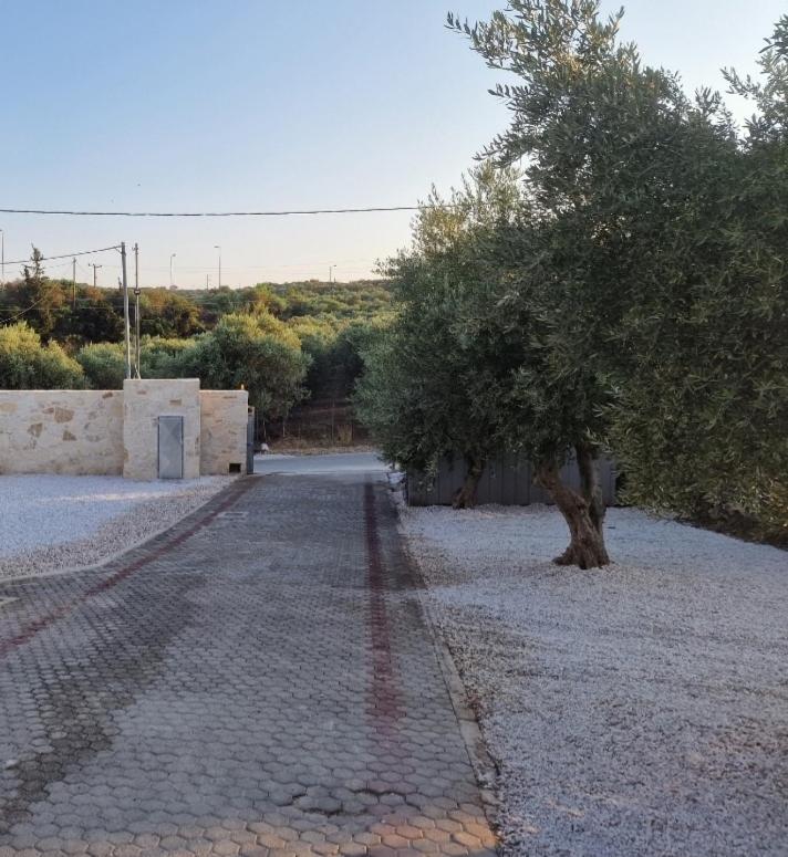Olive Grove Apartment