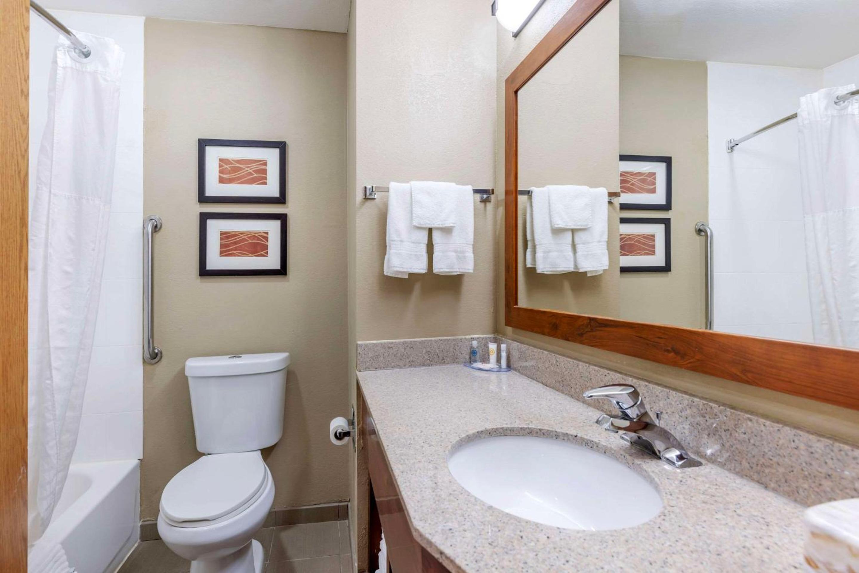 Comfort Inn Grain Valley - Kansas City, Bilde 33