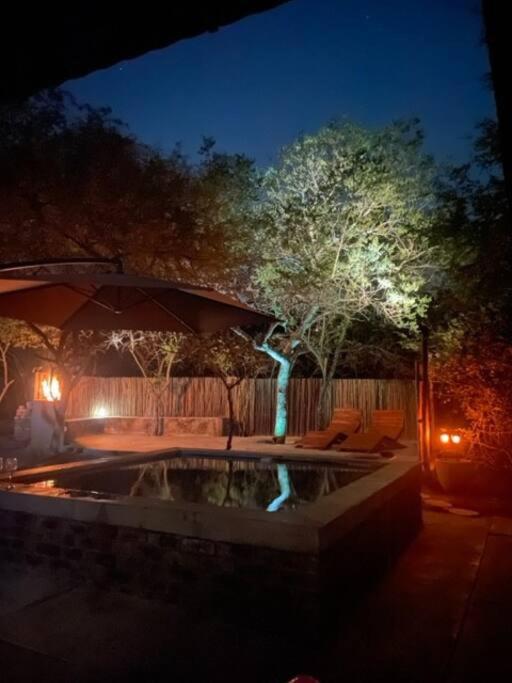 African Vibes view 2