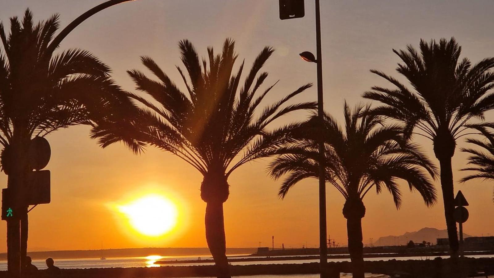 Toledo Gran Playa