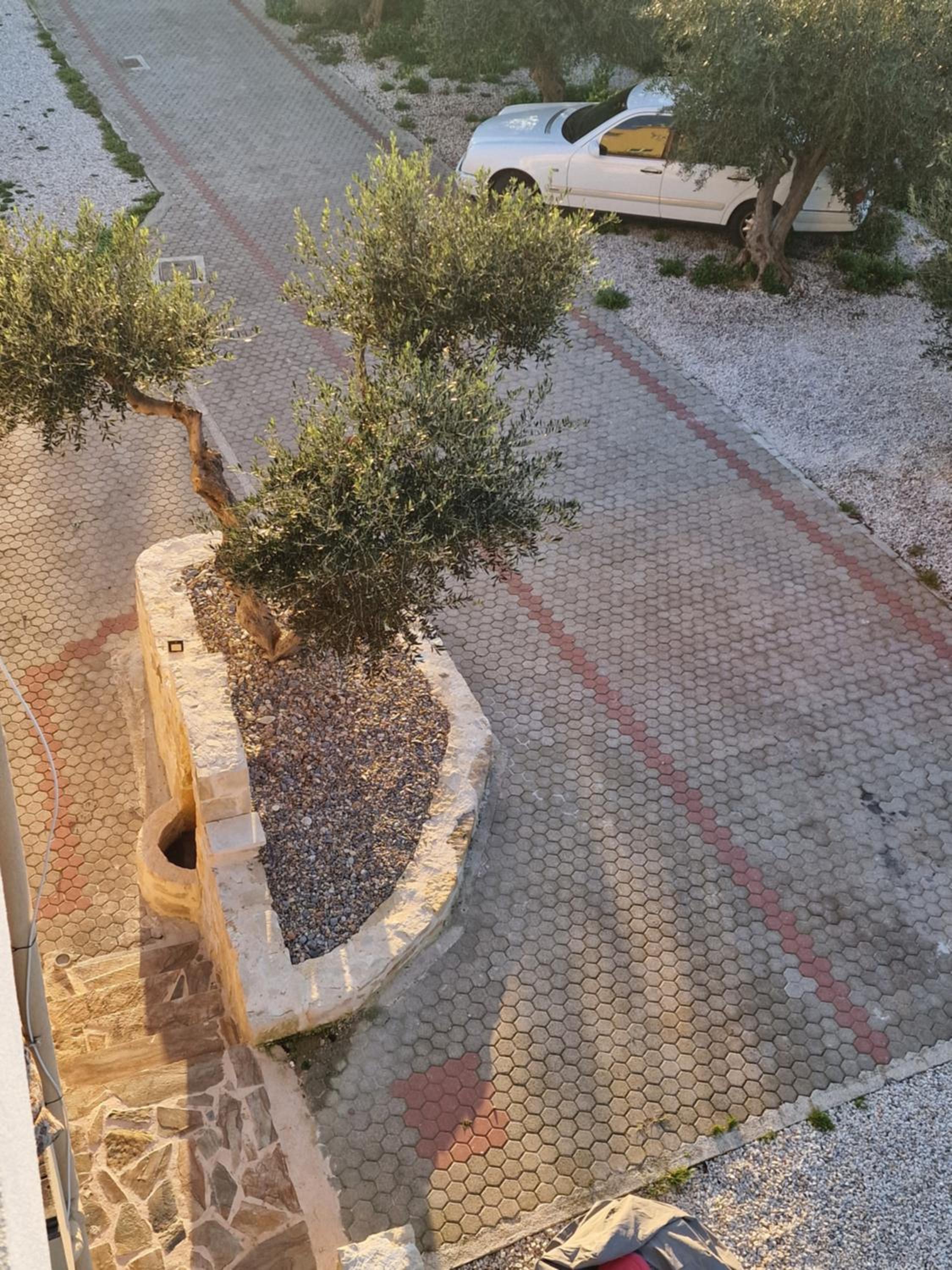 Olive Grove Apartment