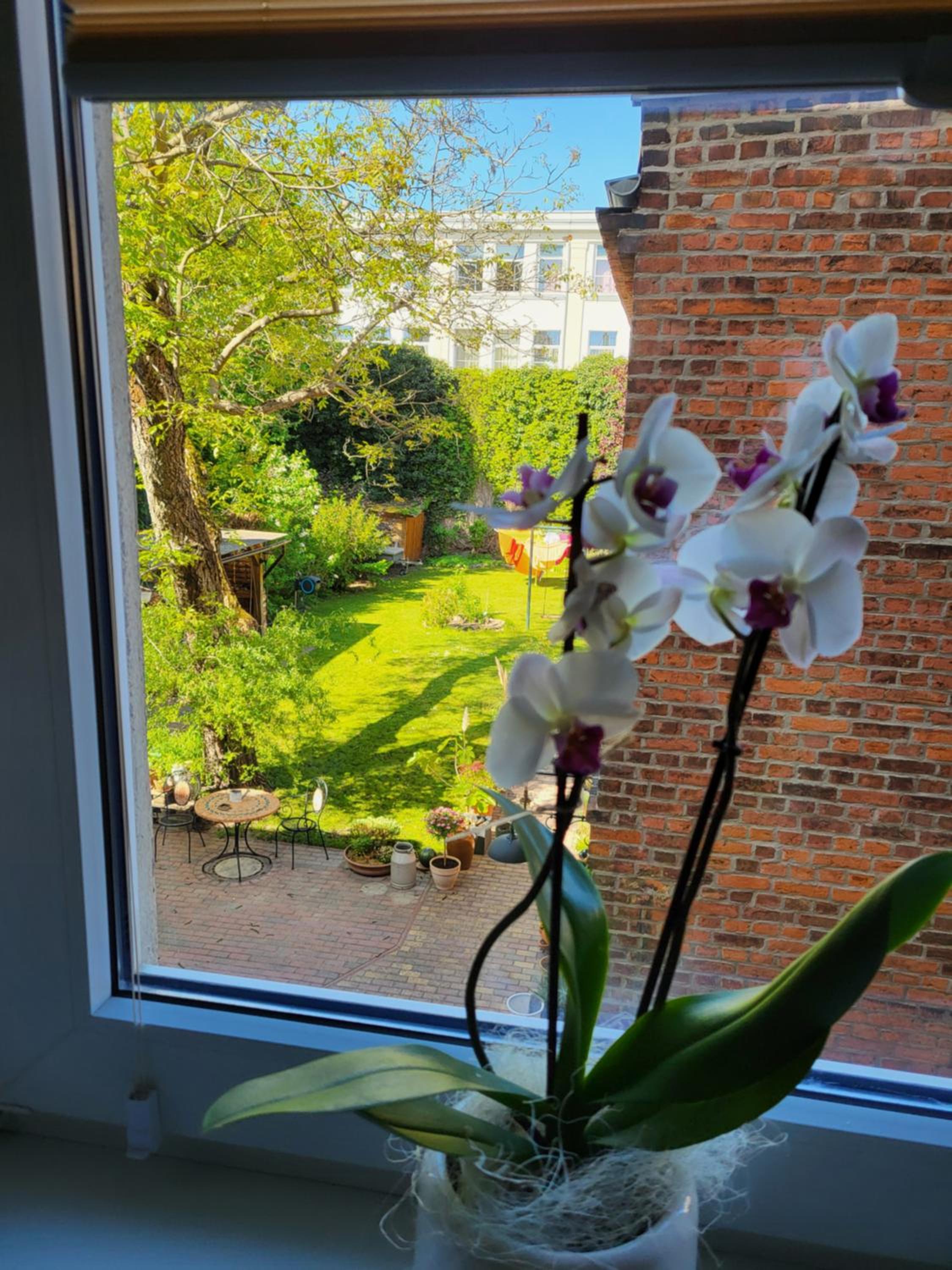 Apartment im grünen Herzen von Cottbus