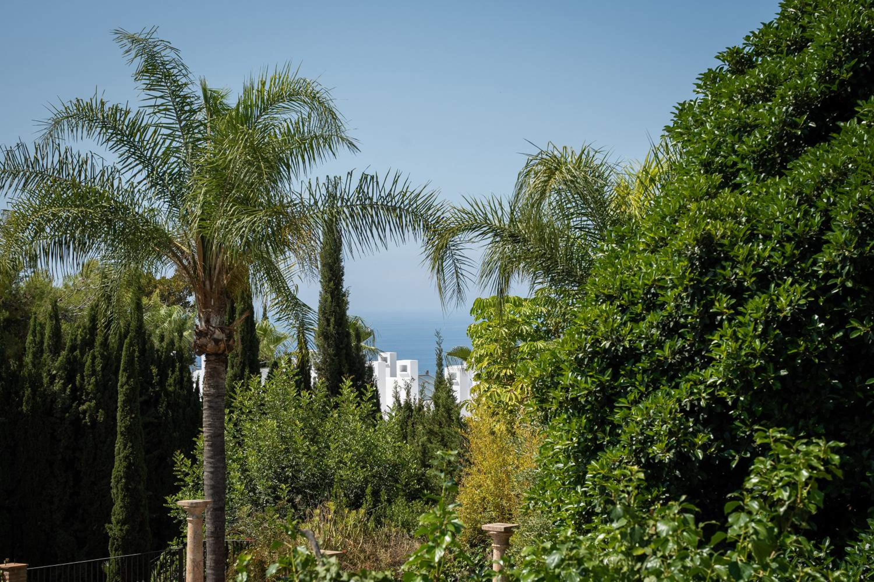Photo 89