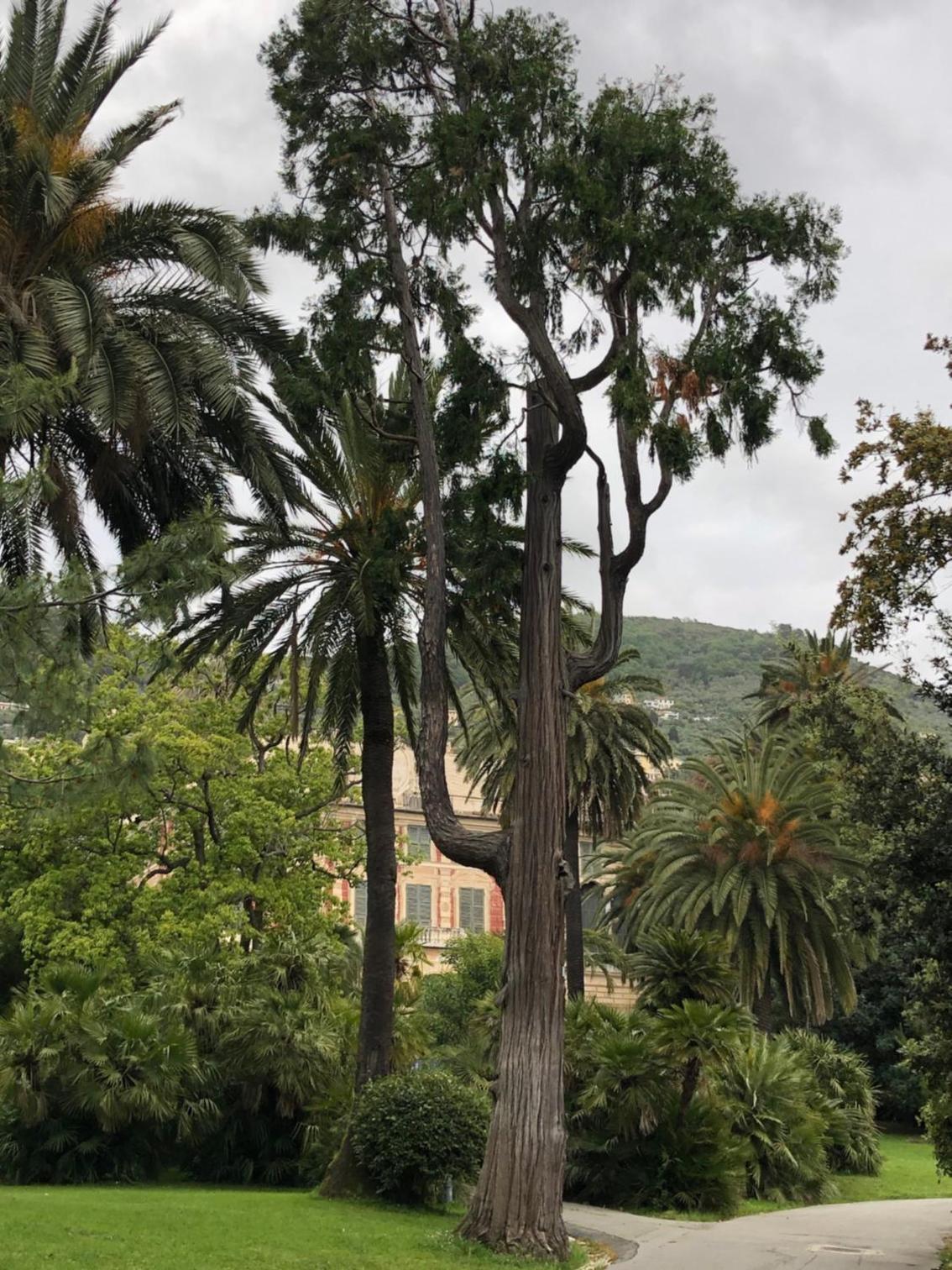 La casina di Nervi view 2