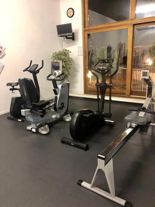 Modern LAAX apt, Swimming Pools, Wellness & Tennis