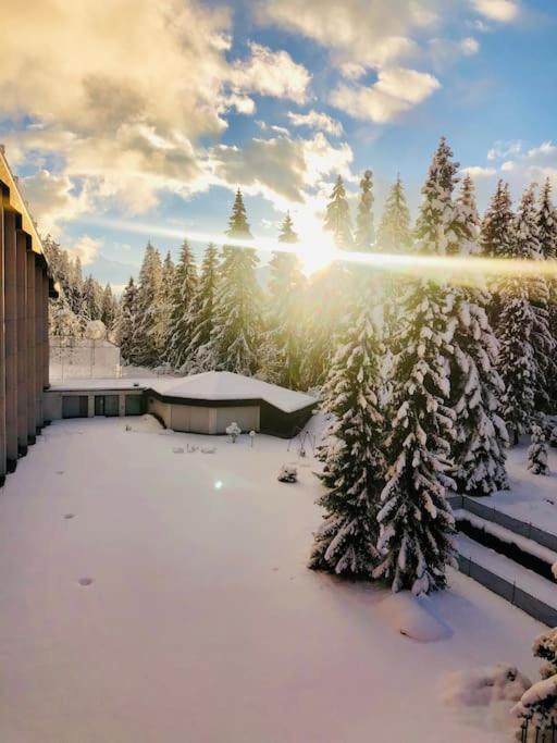 Modern LAAX apt, Swimming Pools, Wellness & Tennis