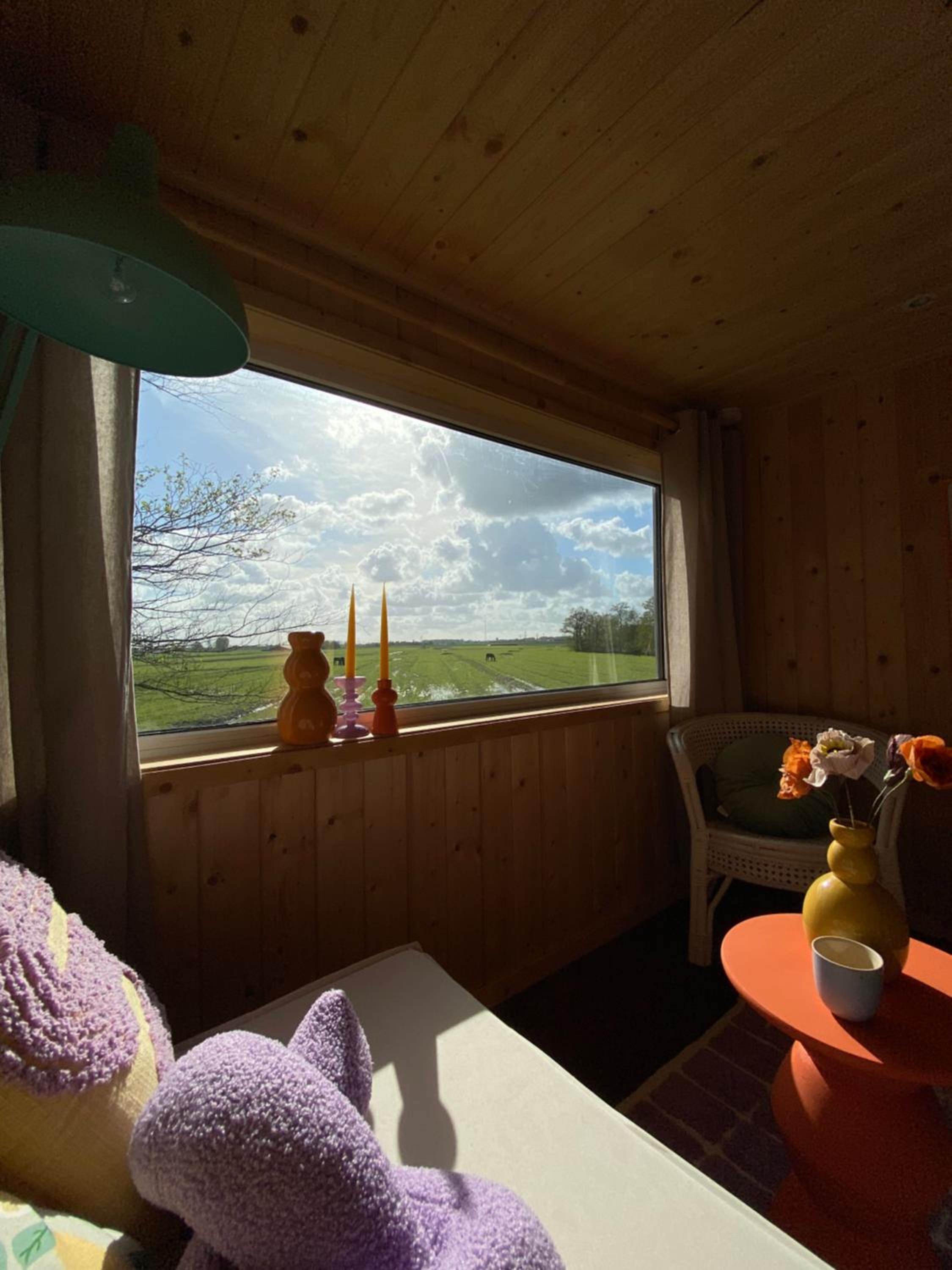 Tiny house Smûk view 5