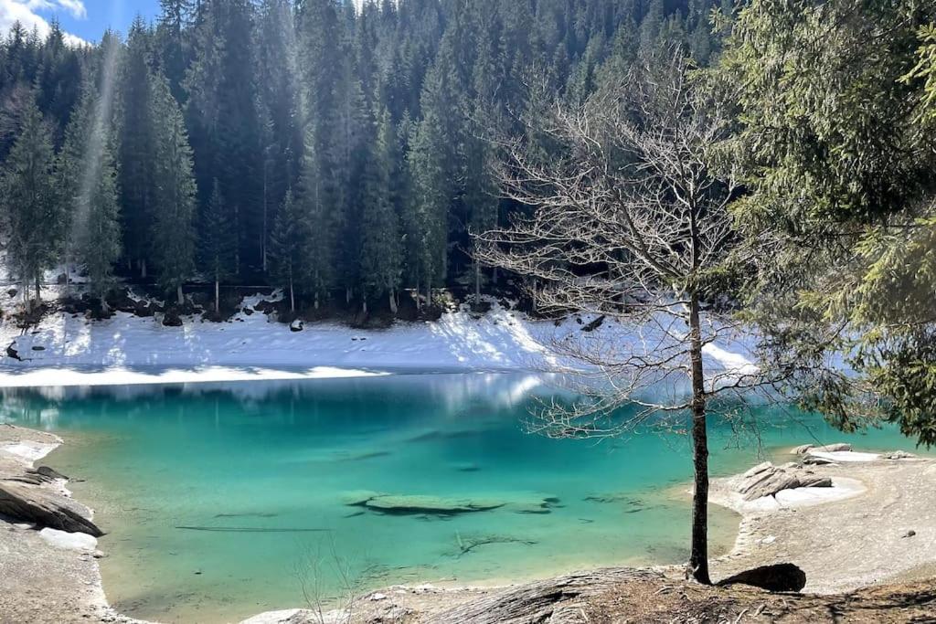 Swiss chalet near Flims
