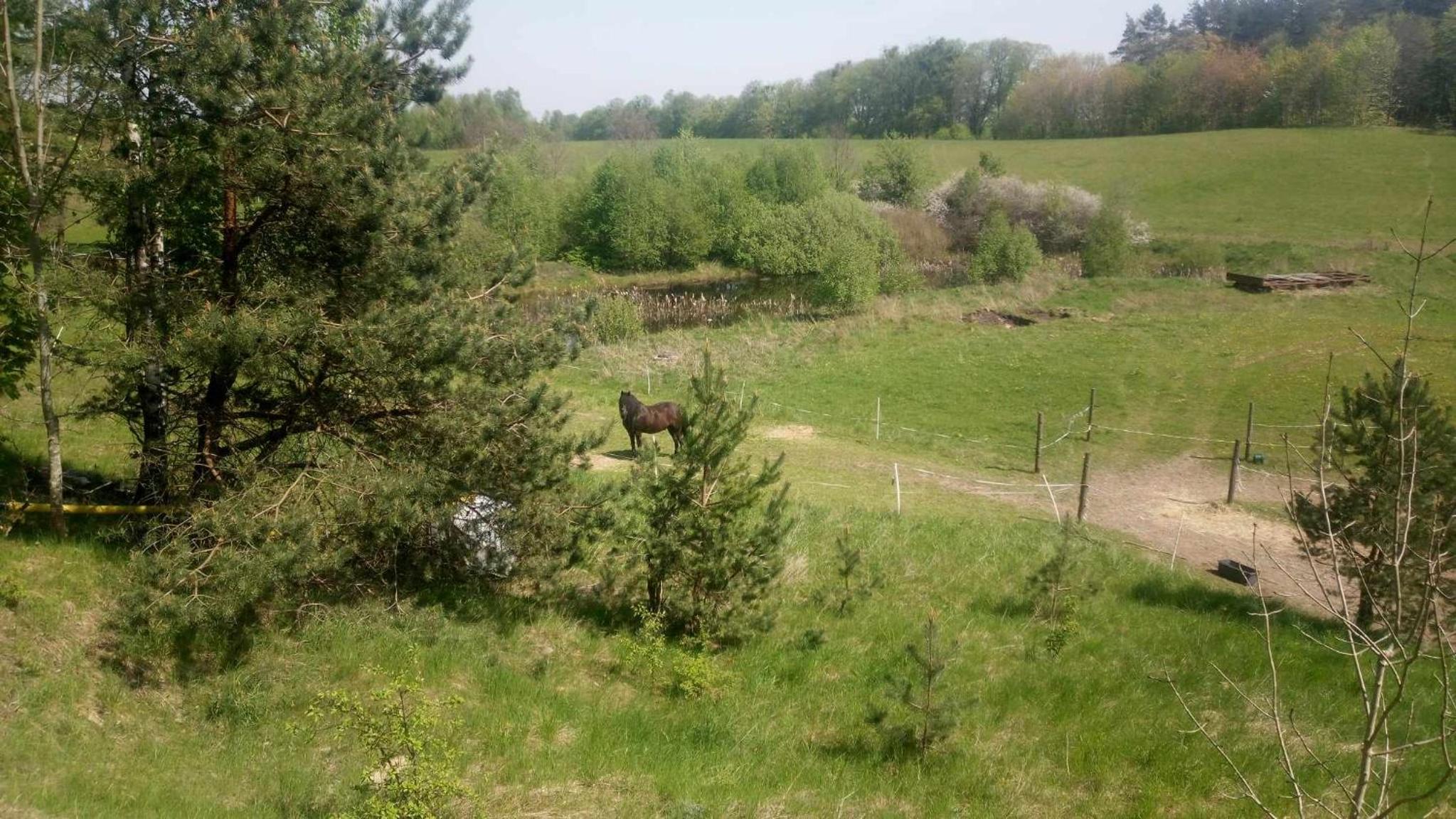 Photo 33