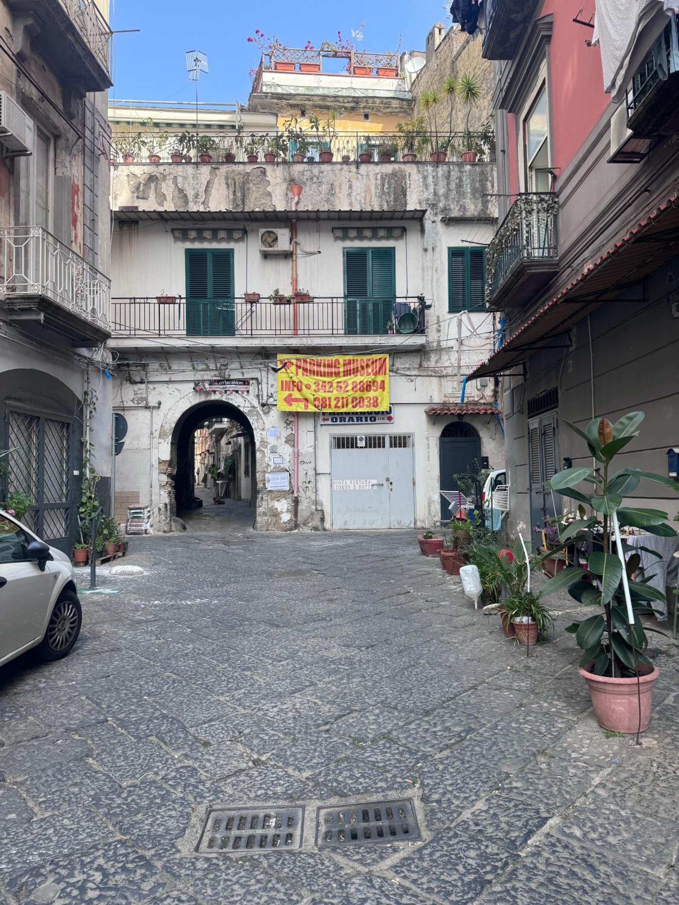 Vesuvius Home