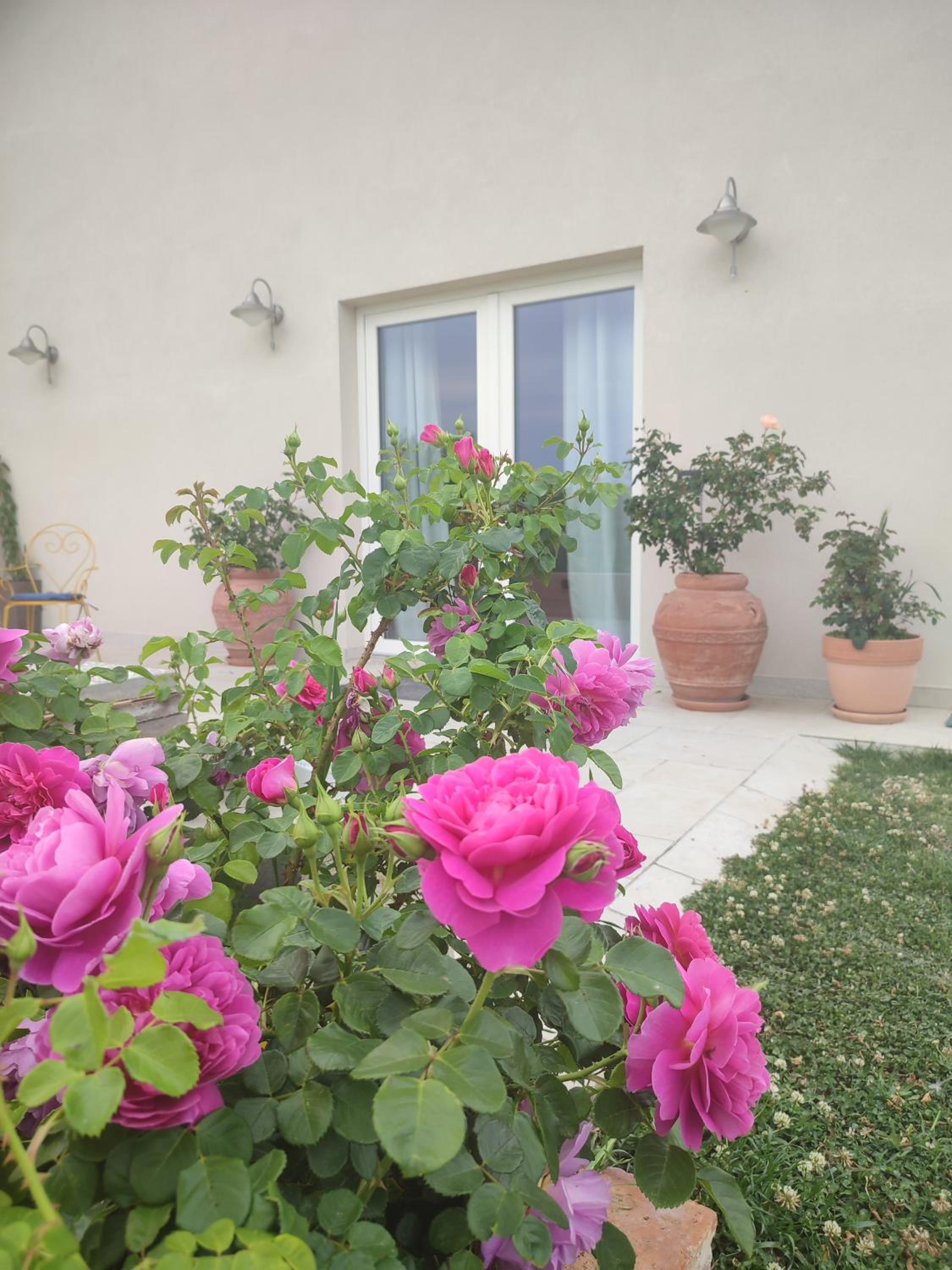 La Casa di Stefania LOFT view 4