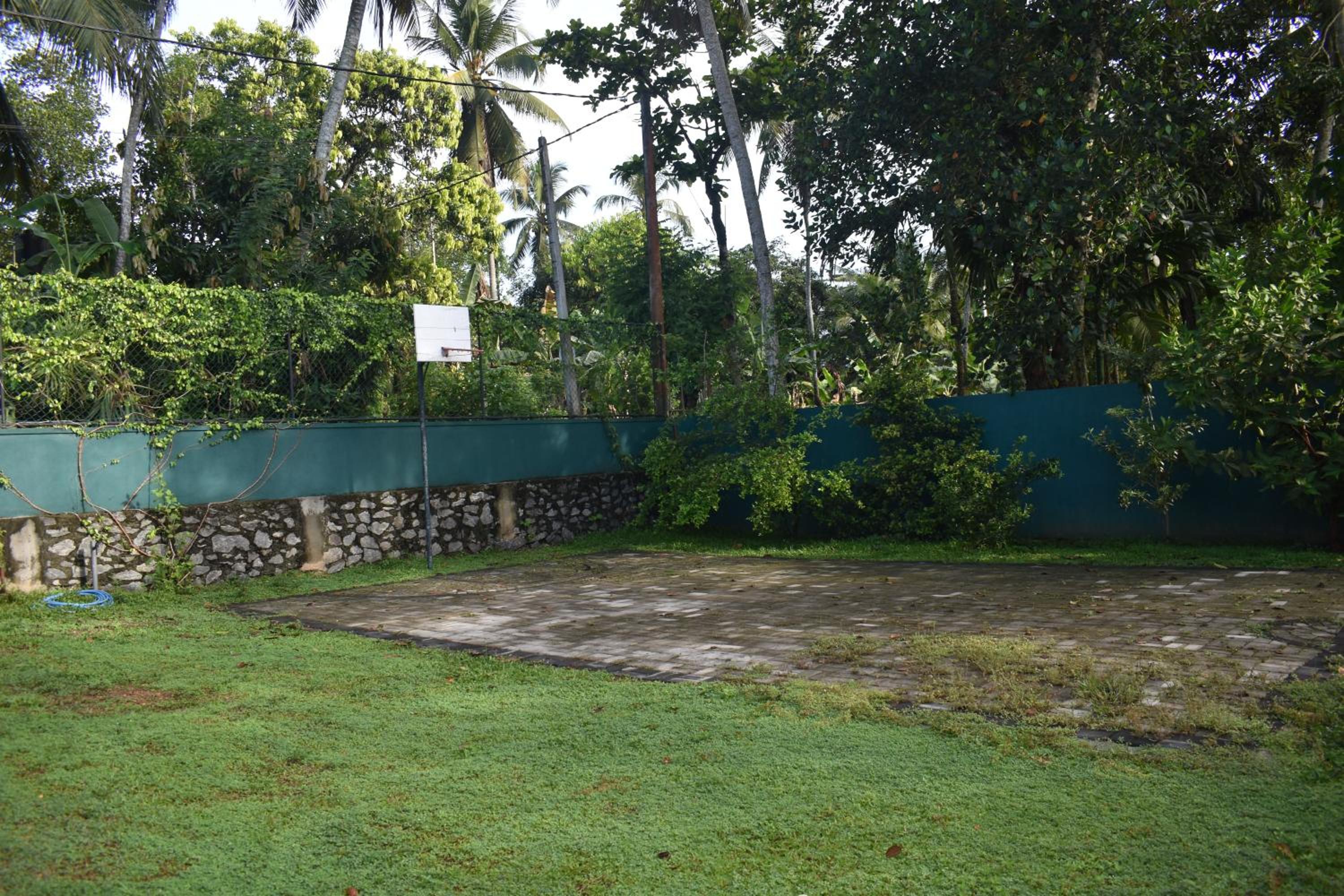 Photo 43