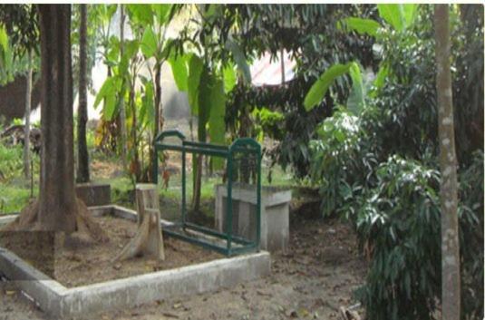Palm Grove Service Villa