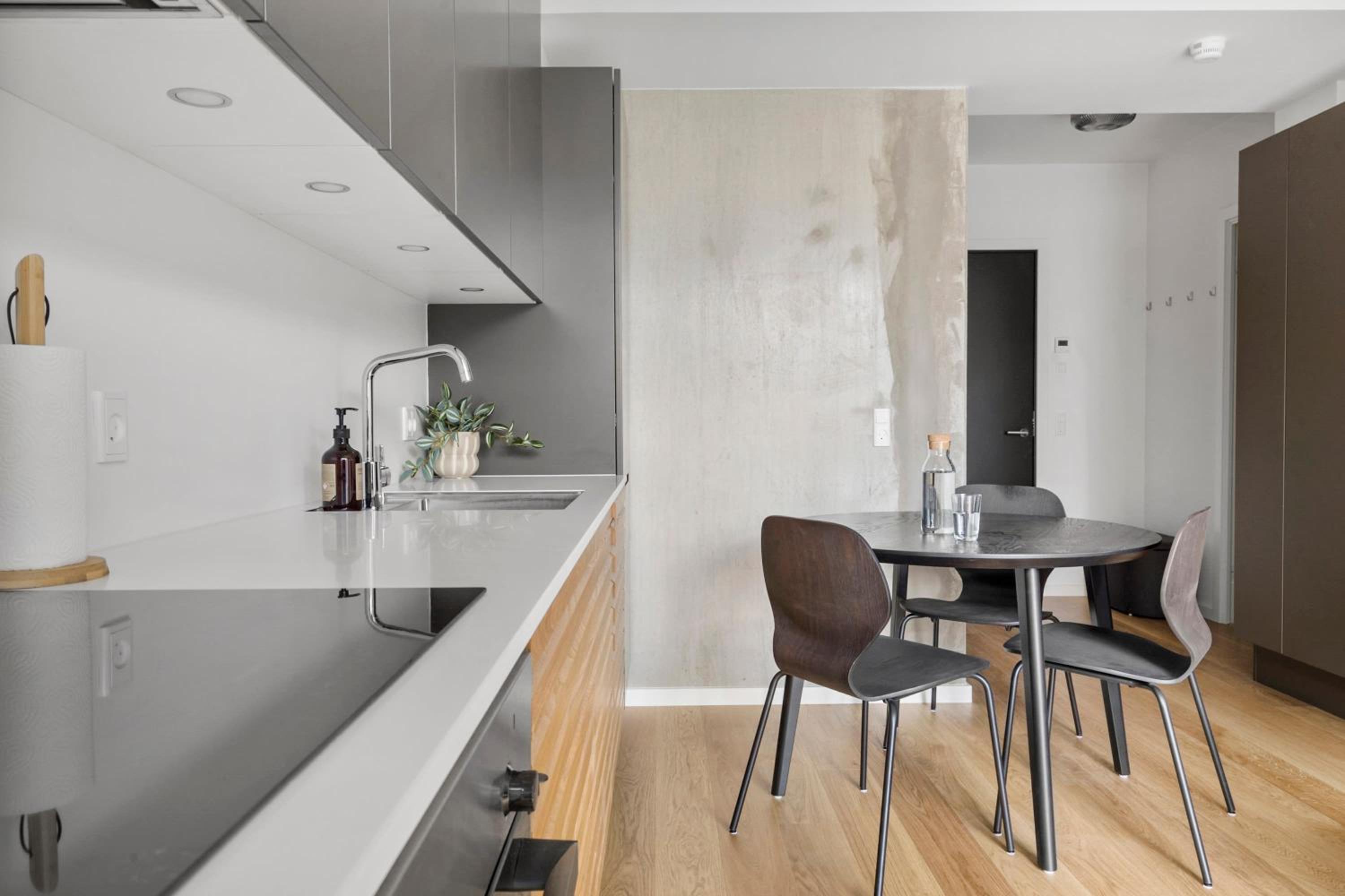Modern luxury apartment