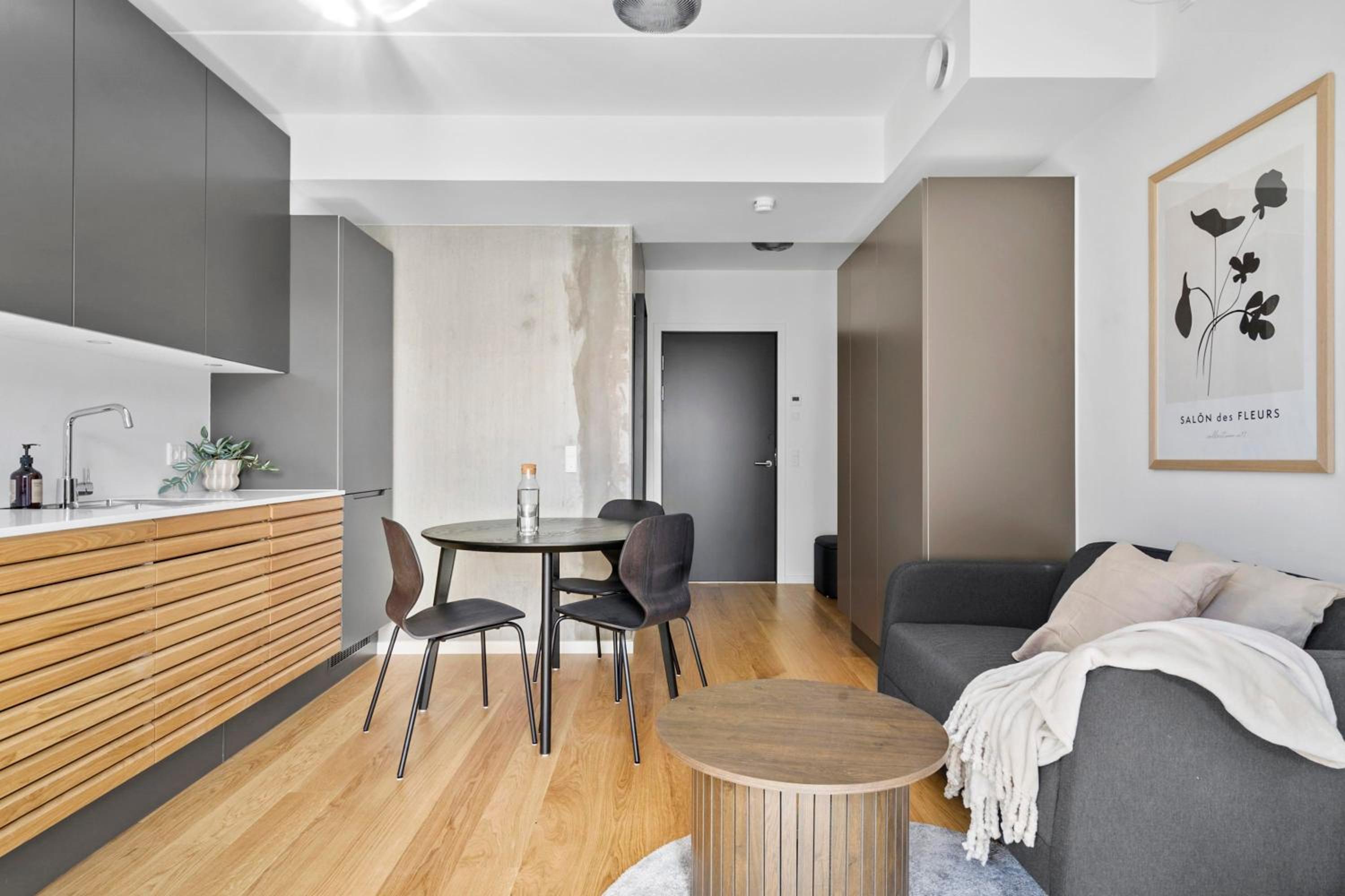Modern luxury apartment