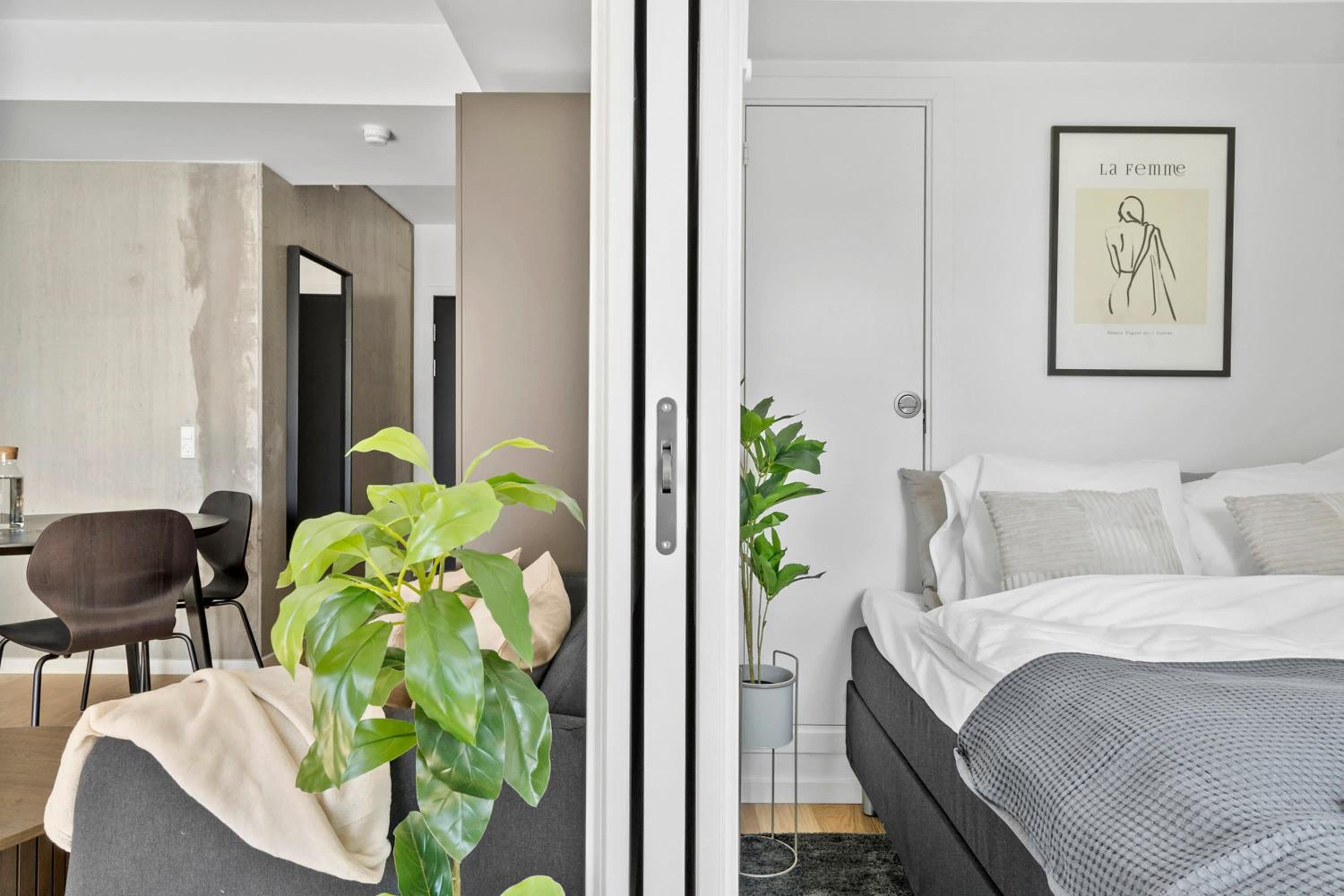 Modern luxury apartment