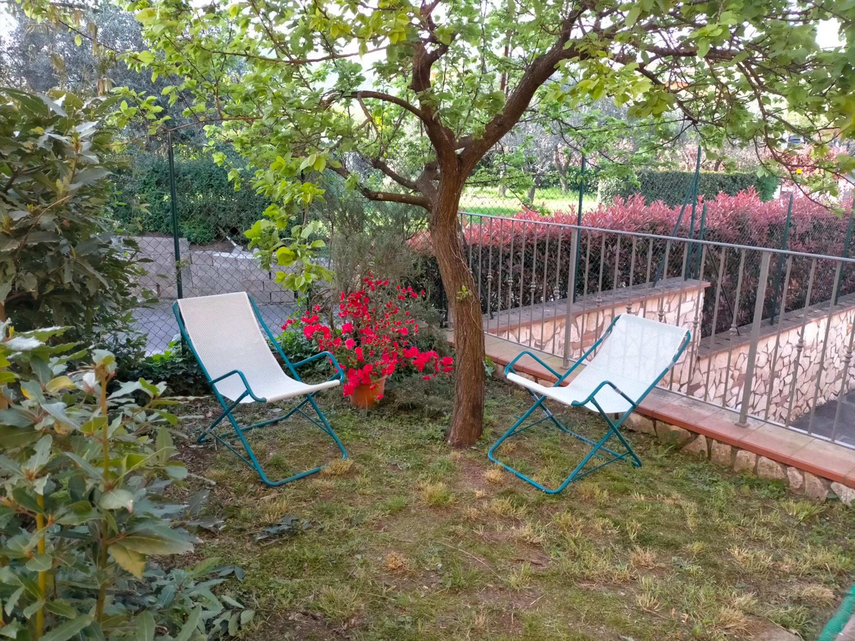 Photo 21