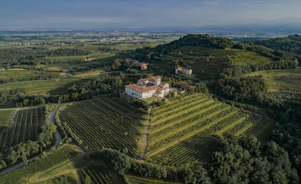 Le Badie Wine Resort view 5