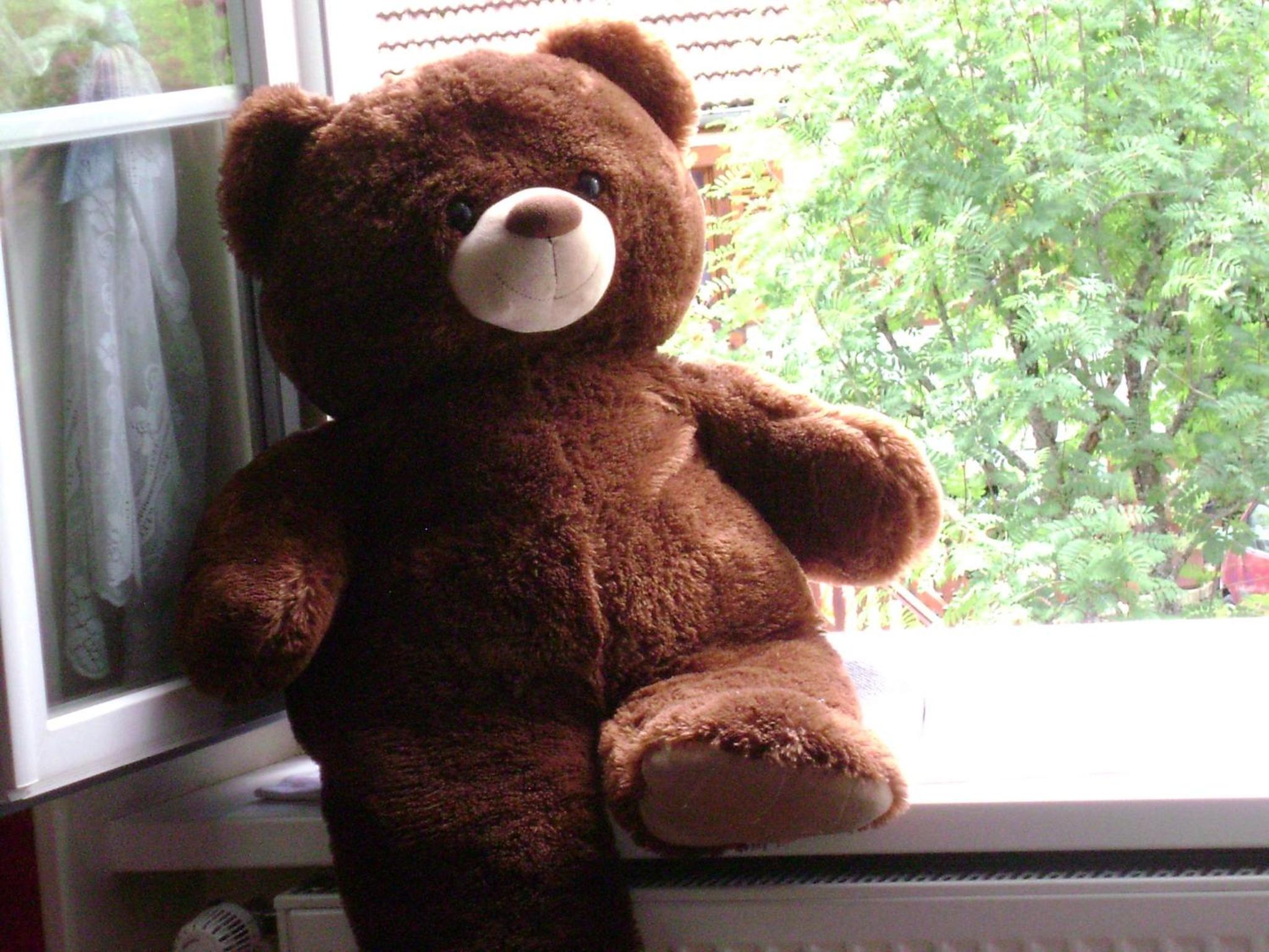 Photo 20