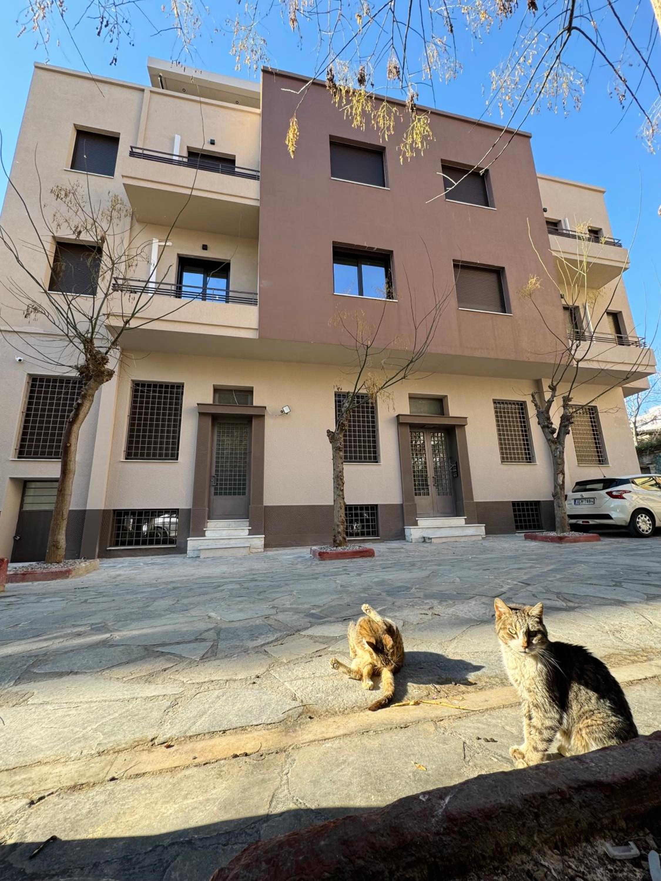 Kozy Koala Apartments n22