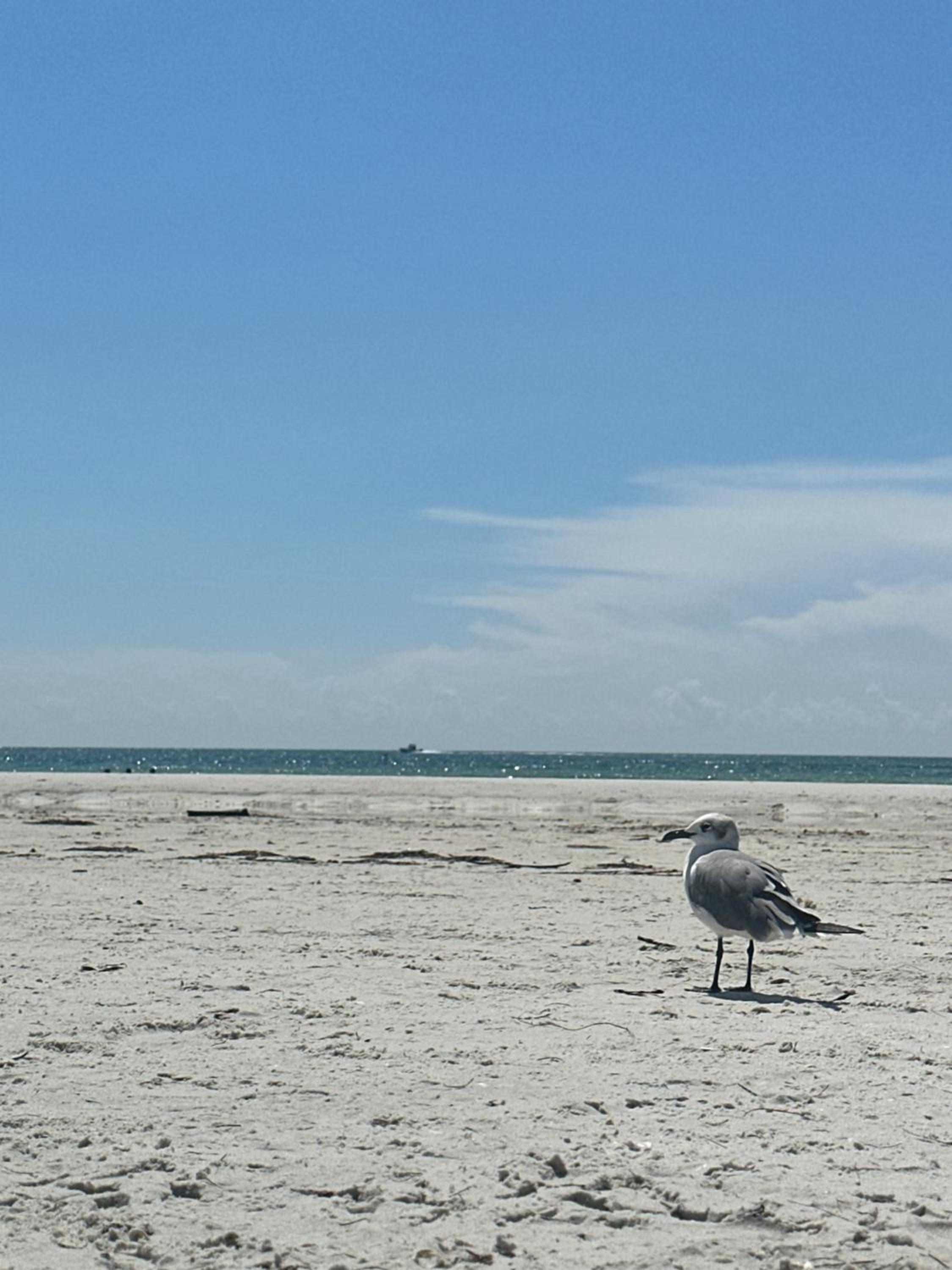 Steps to beach with No Resort Fees and FREE parking 2 view 2