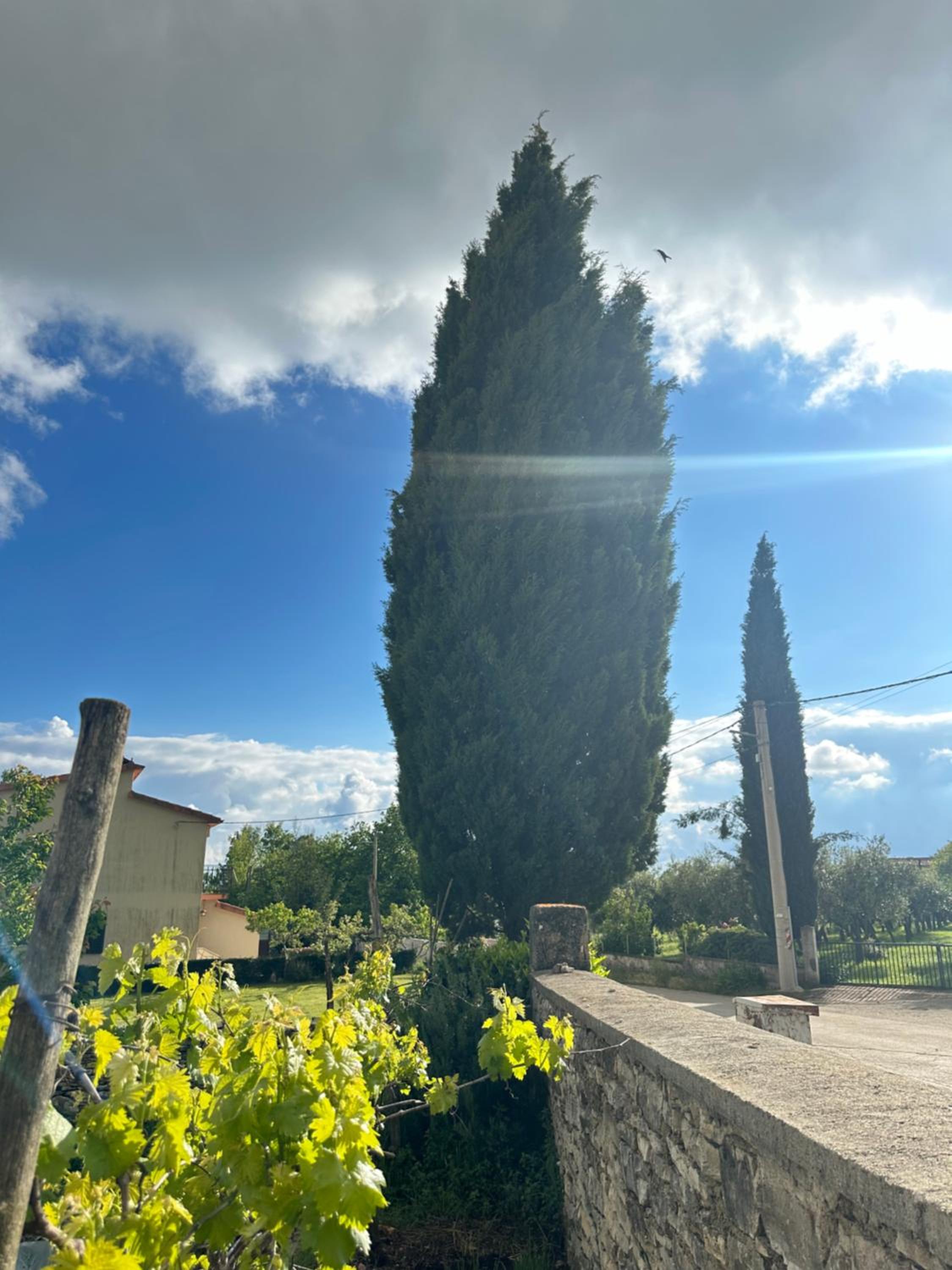 Villa Kalina Croatia