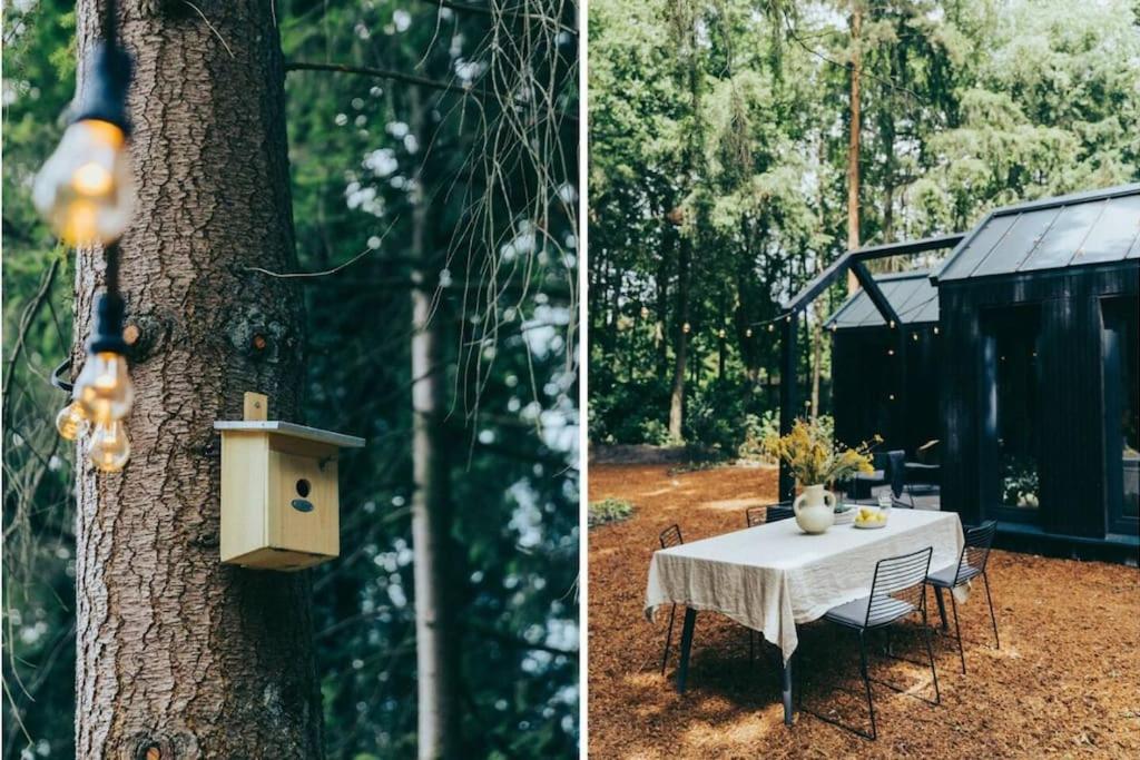 Mysa Tiny House view 3