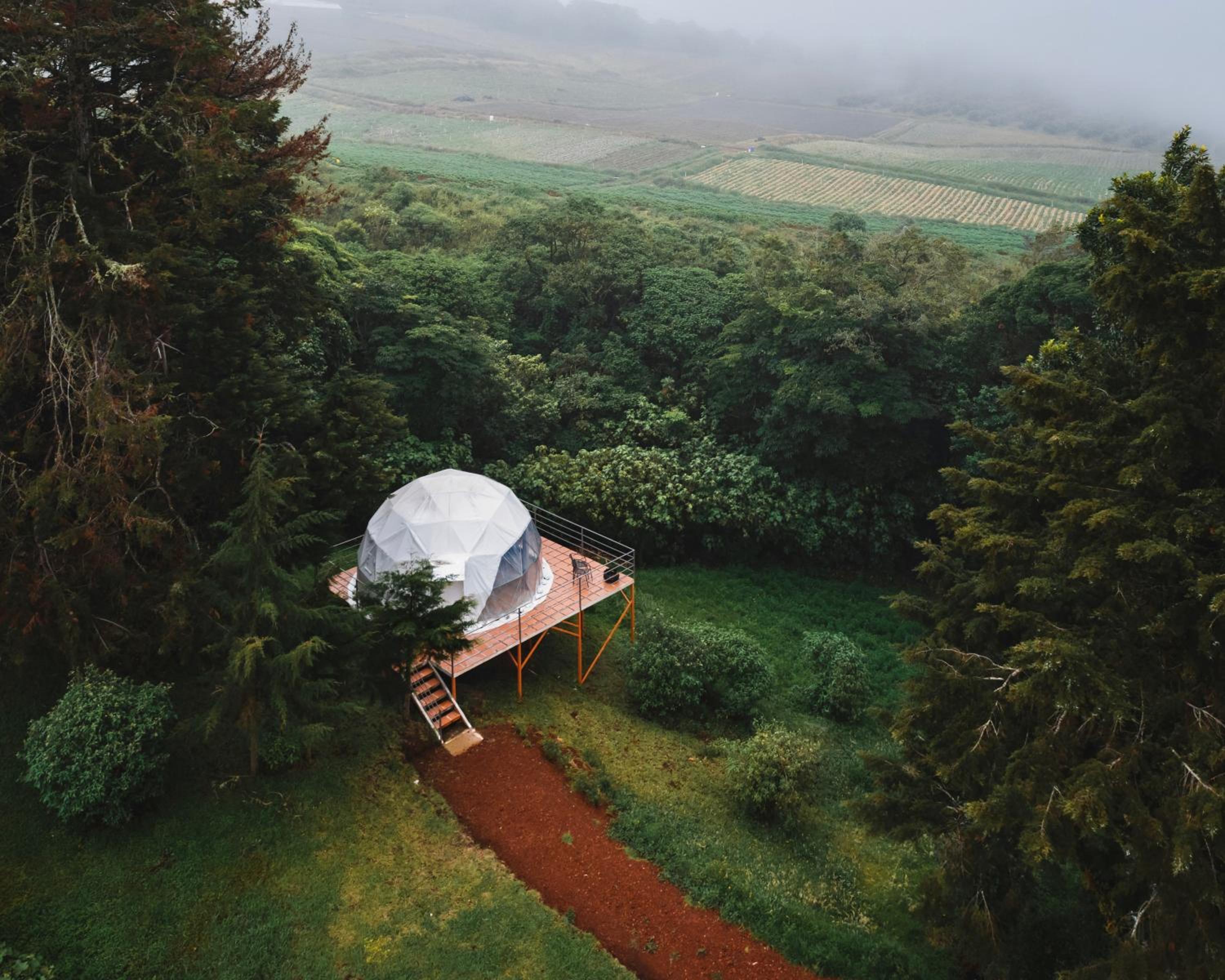 Green Noise Glamping