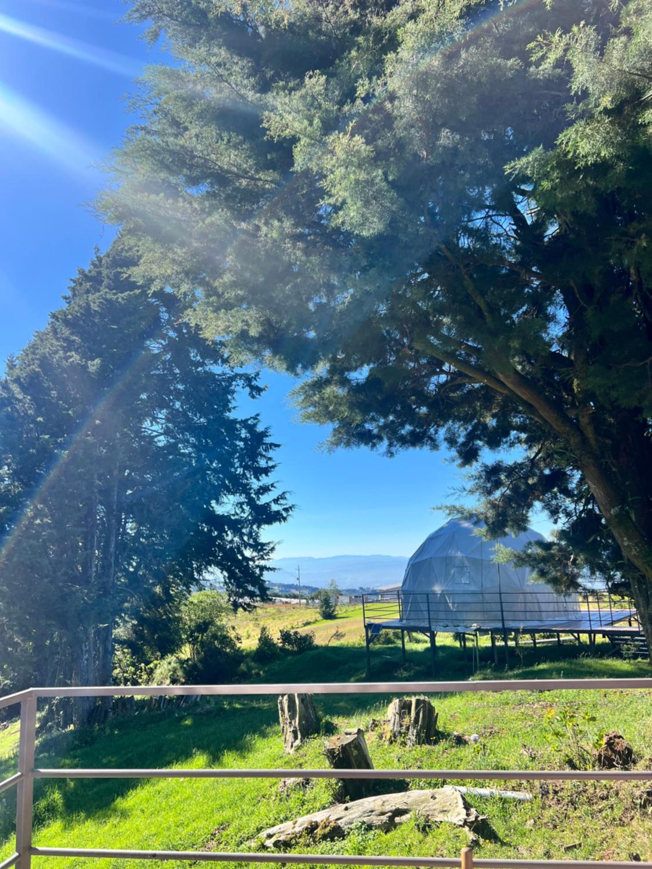 Green Noise Glamping