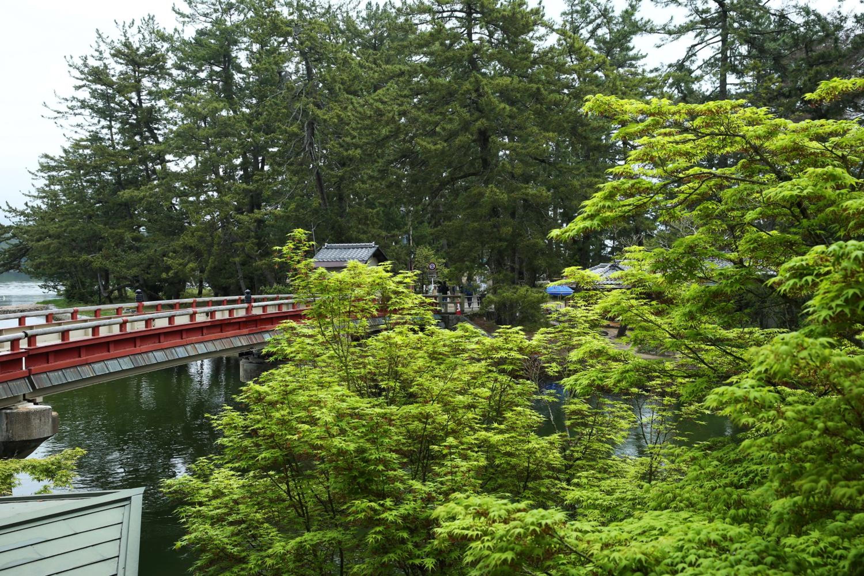 Taikyourou