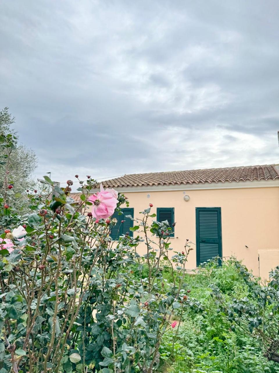 Photo 29