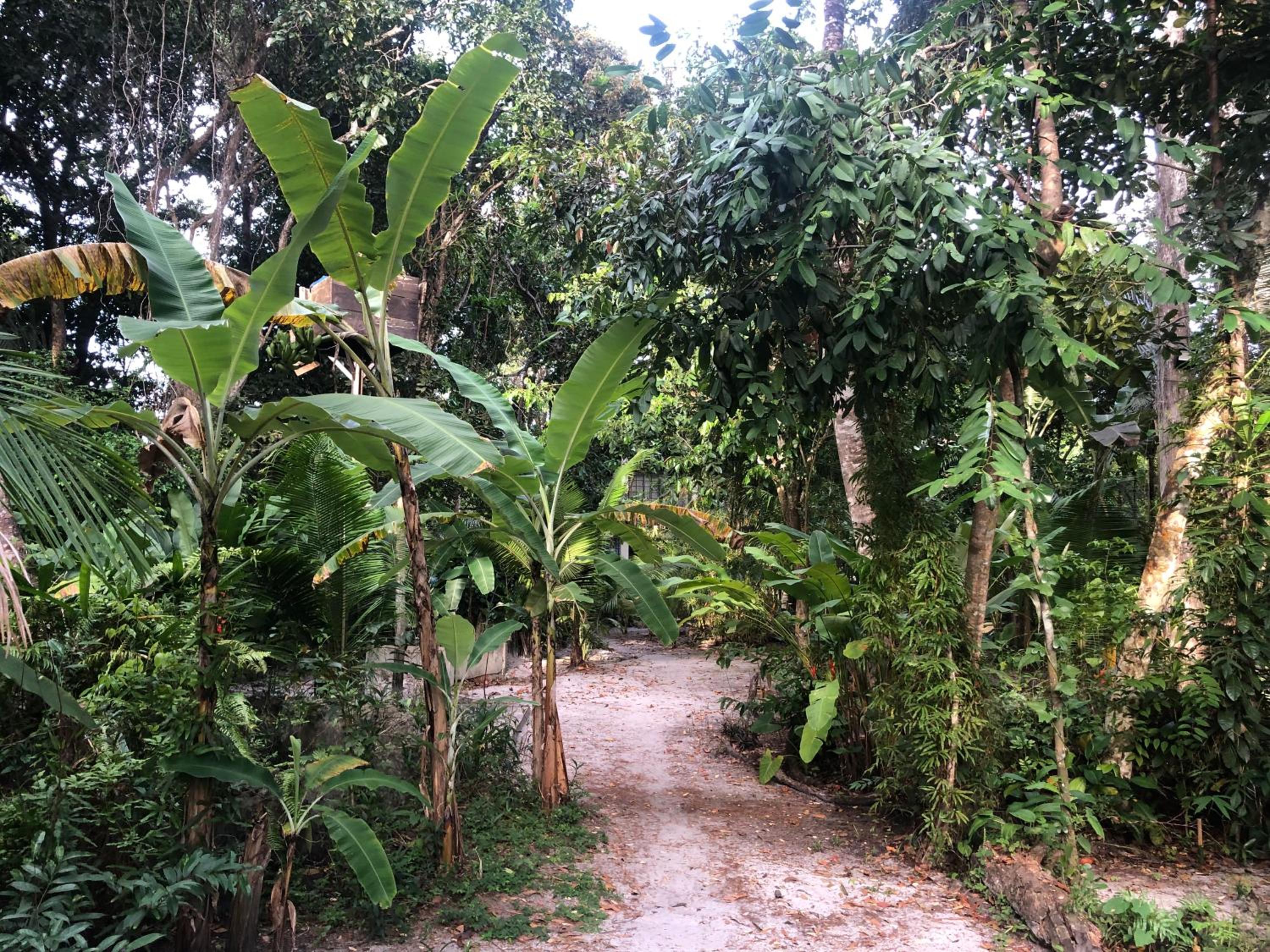 REFUGIO DO SAGRADO MORERE Tropical Lodge - A Casa do Vigía