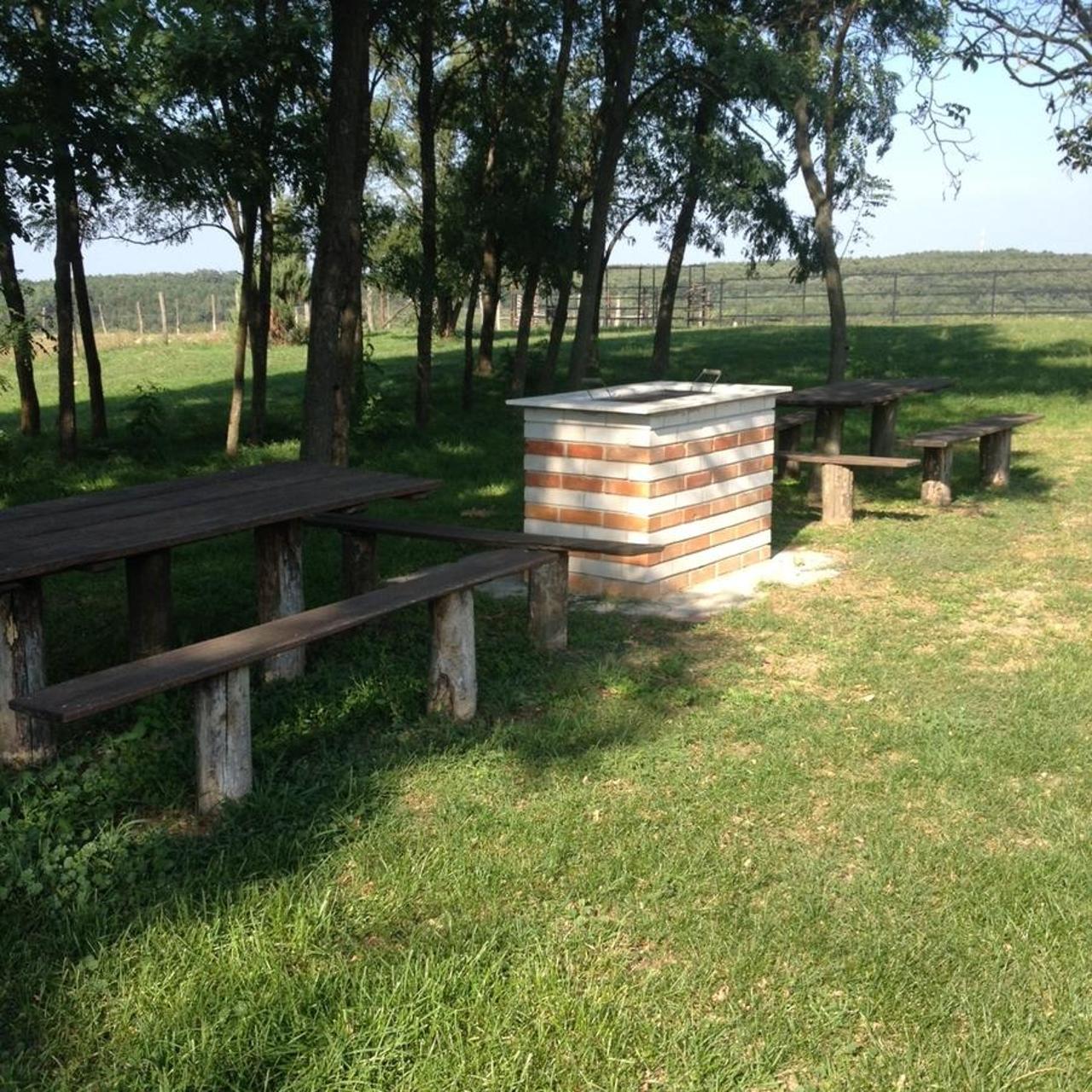 Photo 42