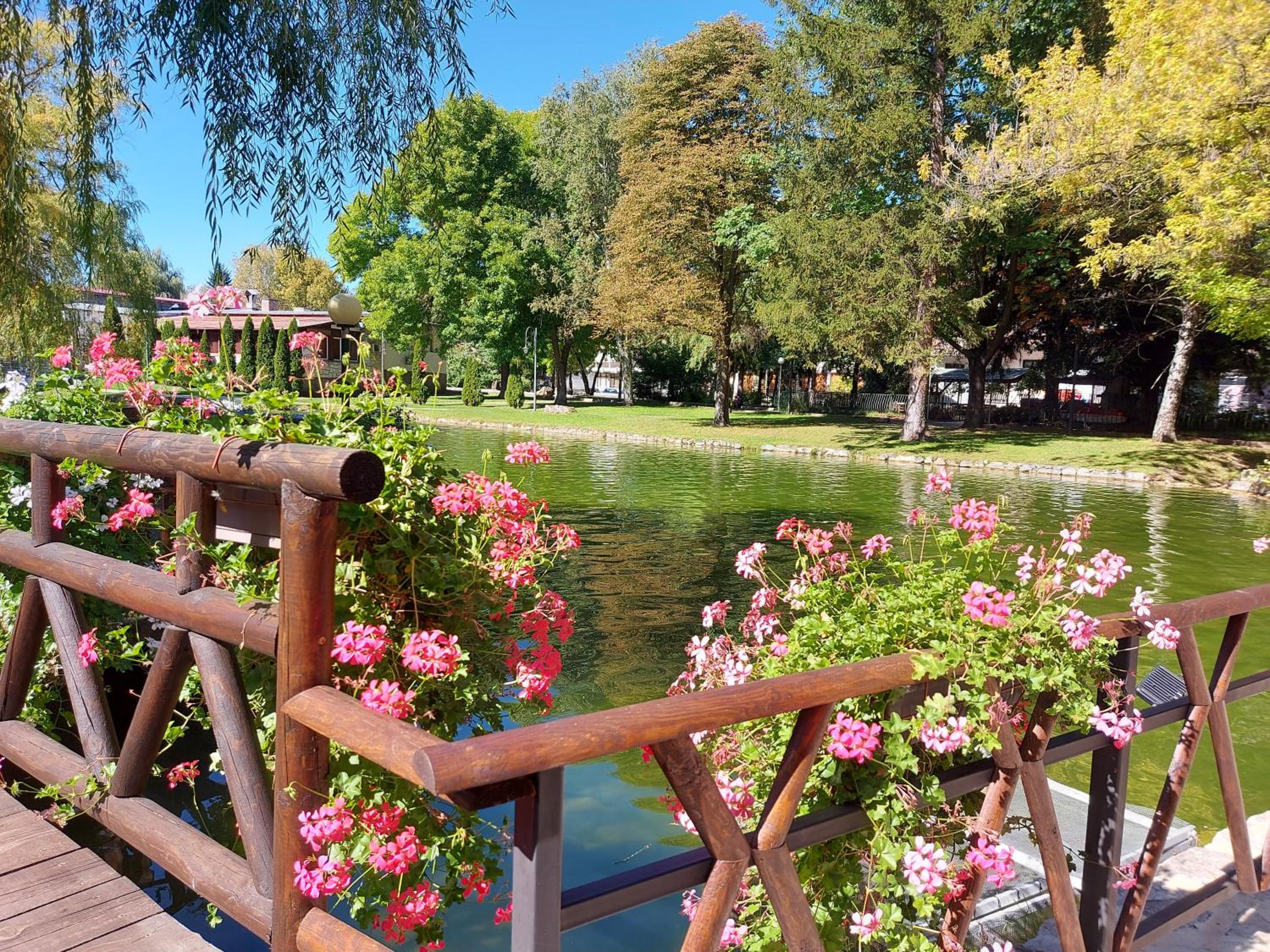 Terra complex -D6 - Balkan private apartment-Spa Sking Golf and Relax
